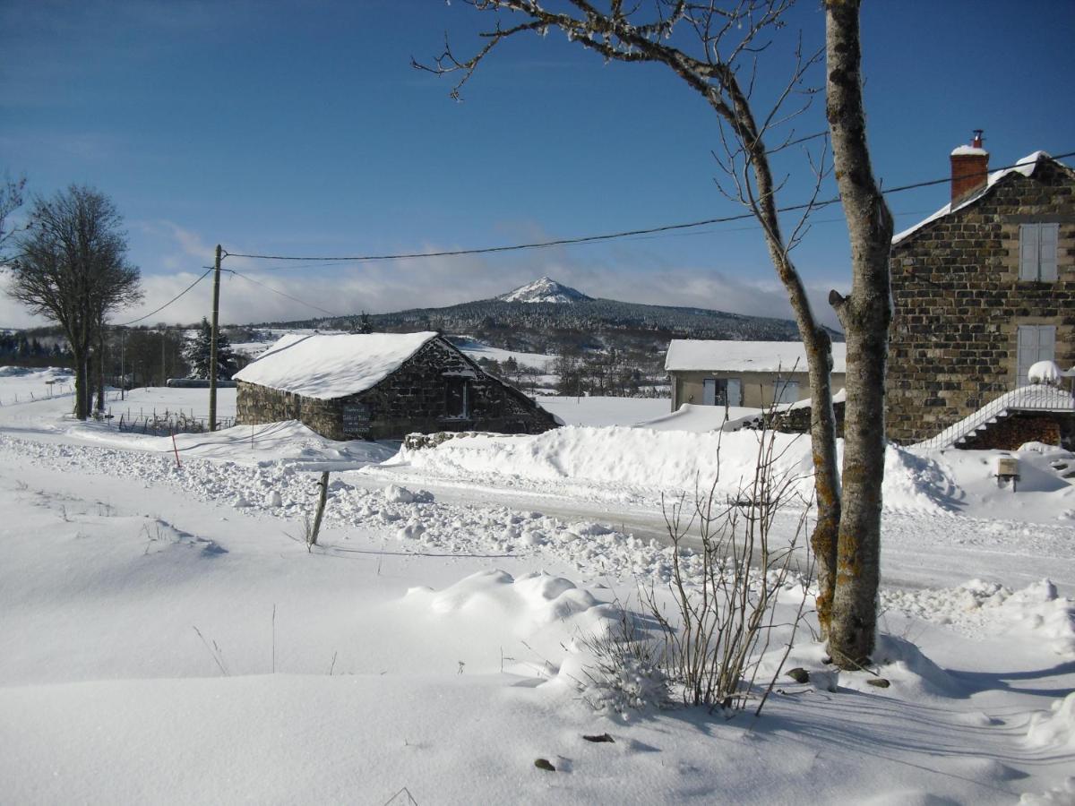 Bed and Breakfast La Ferme De Madelonnet Saint-Jeures Экстерьер фото
